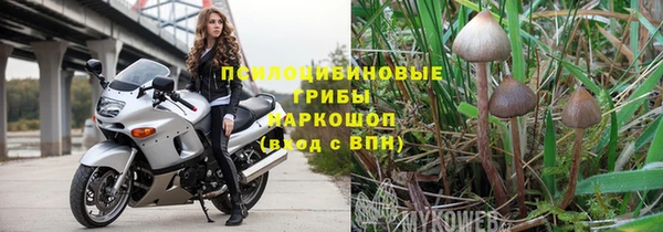 крисы Алзамай