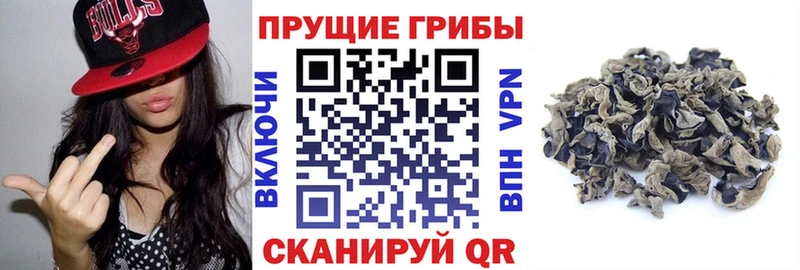 Псилоцибиновые грибы ЛСД продажа наркотиков Лахденпохья